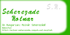 seherezade molnar business card